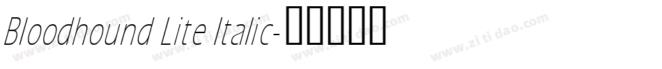 Bloodhound Lite Italic字体转换